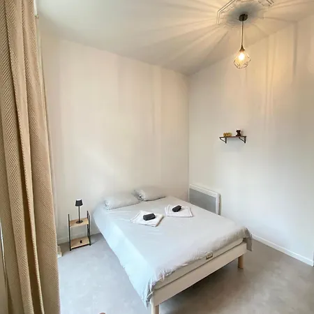 Apartment Privilege - 4 - Coeur D'angers, Spacieux Et Elegant *