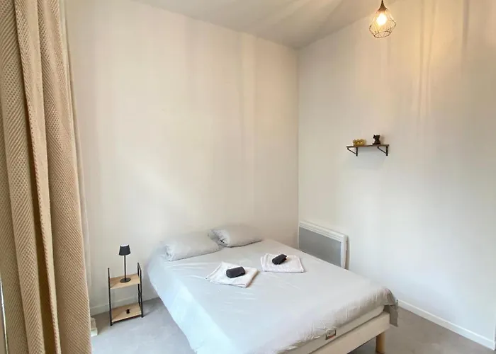 公寓 Privilege - 4 - Coeur D'angers, Spacieux Et Elegant *