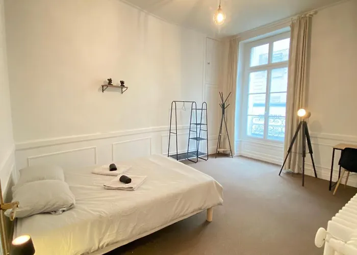 公寓 Privilege - 4 - Coeur D'angers, Spacieux Et Elegant *